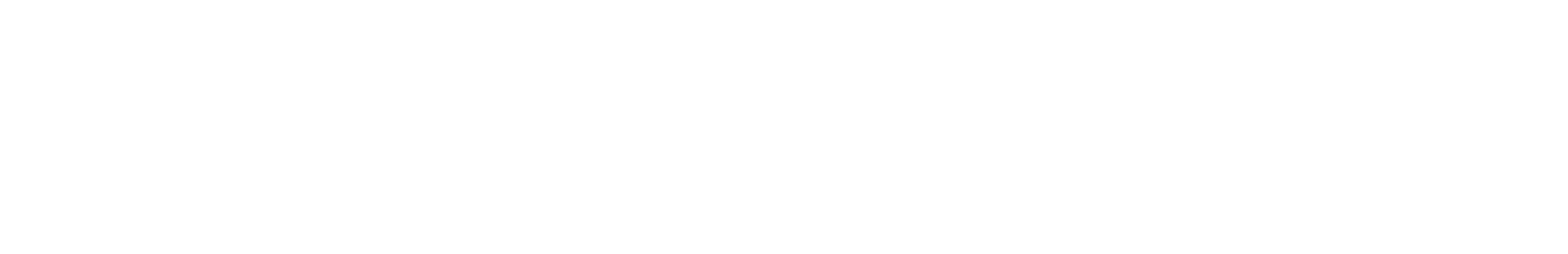 FastShip